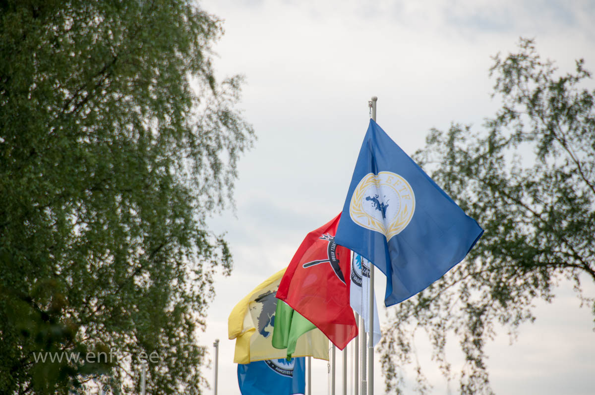 Organizer official flags